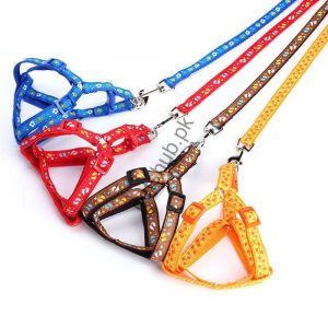 Cat Harness (L)