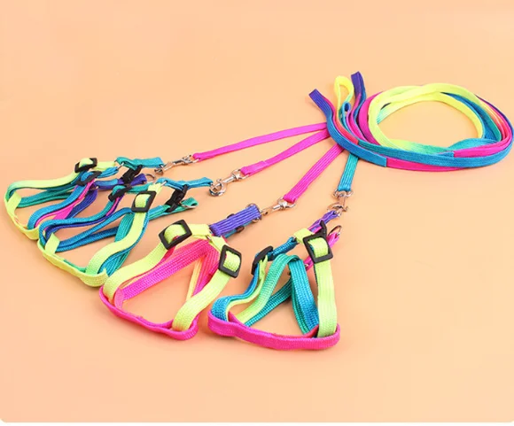 Rainbow Harness For Cats & Dogs