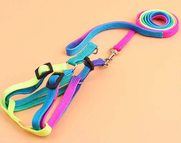 Rainbow Harness For Cats & Dogs
