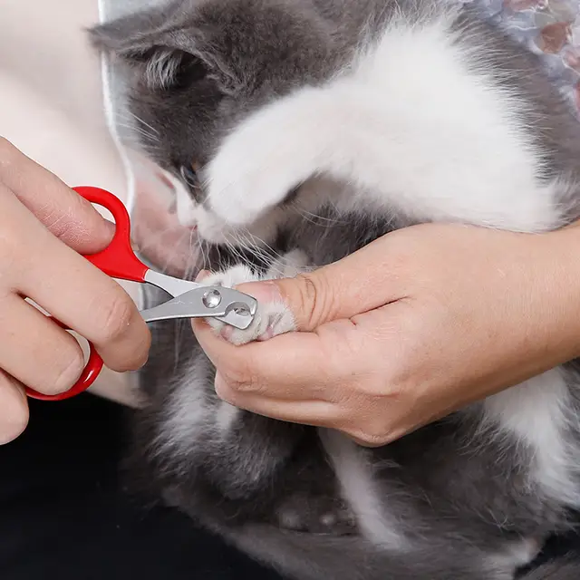 Nail Clipper For Cats & Dogs - Stainless Steel