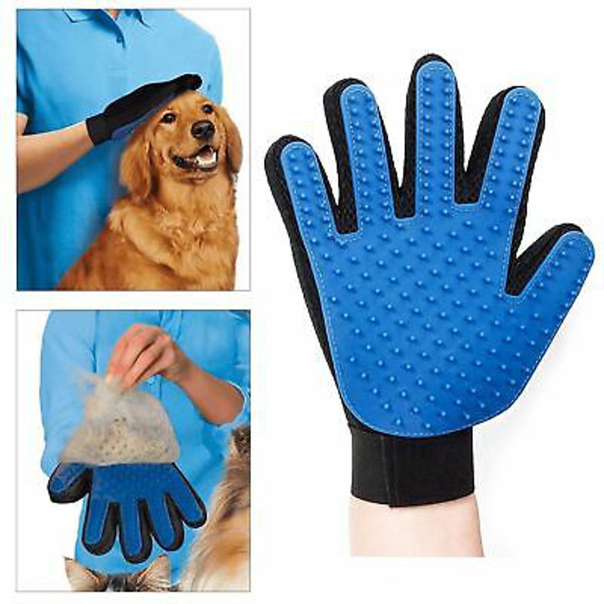 Blue Gloves