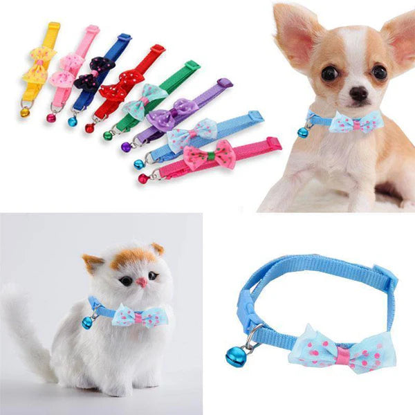 BOW COLLAR ( HIGH ) QUAILTY