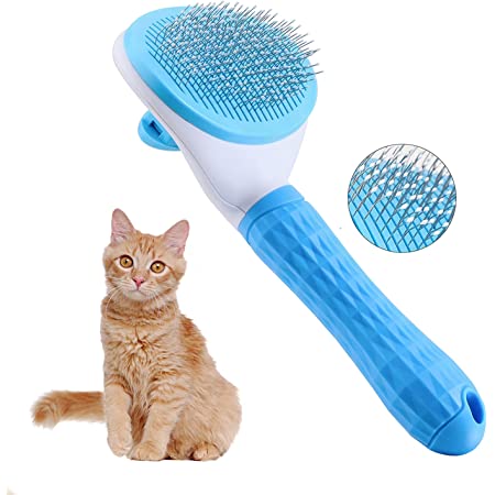PUSH BUTTON BRUSH