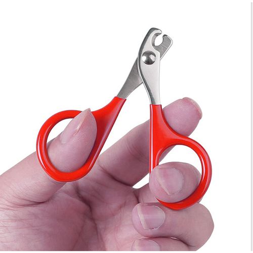 Scissors High Quailty