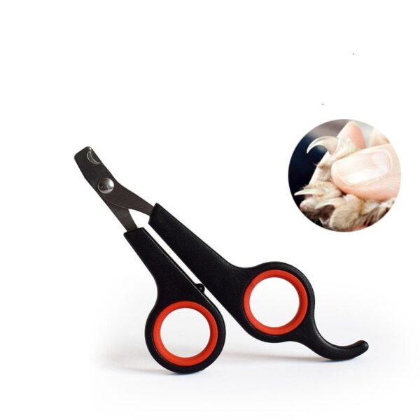 Scissors ( S )