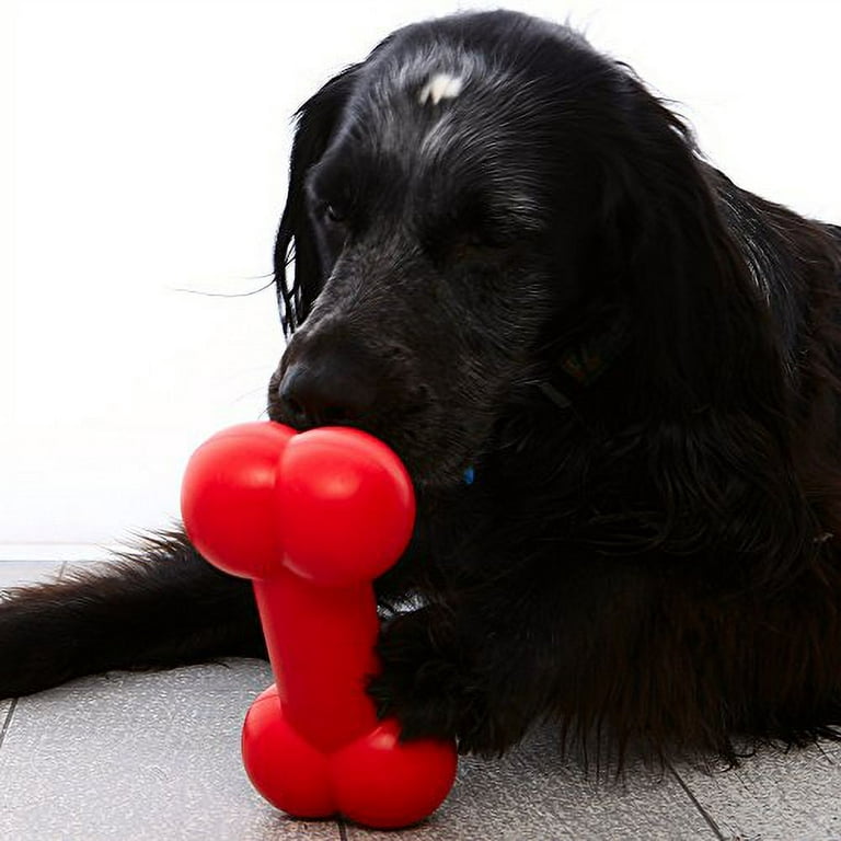 Dougez Red Bone Dog Chew Toy Made of Rubber