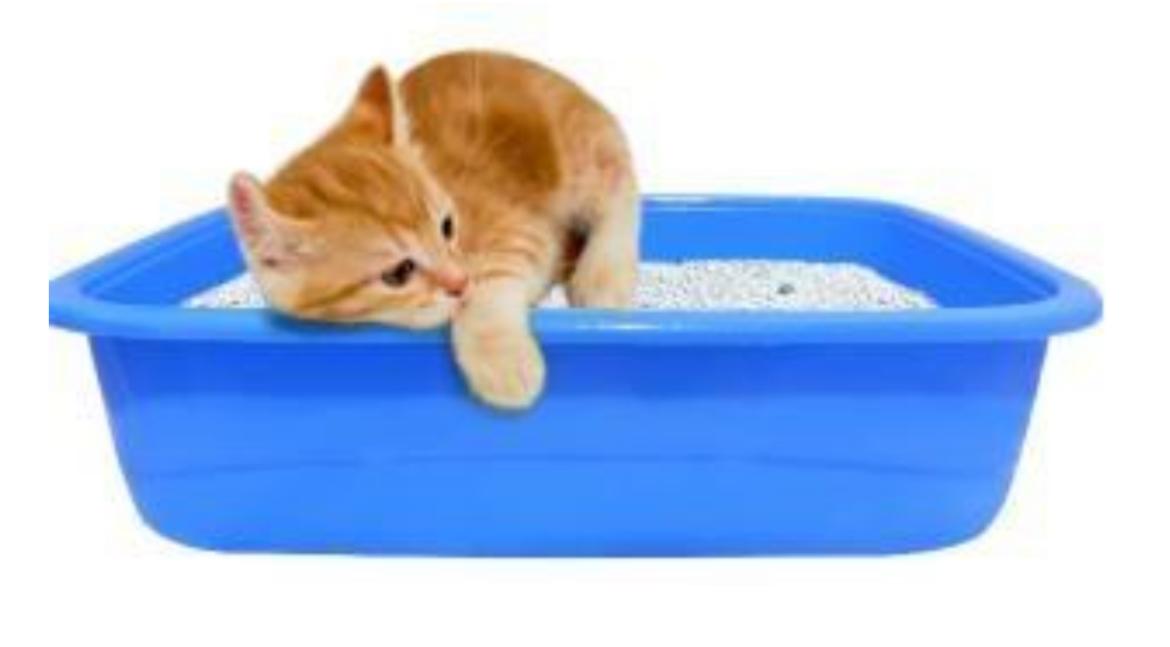 PawComfort Litter Tray for Kittens