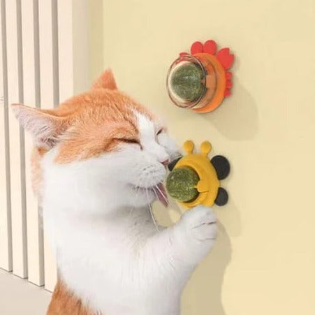 Natural Catnip Wall Stick-on Ball Toy