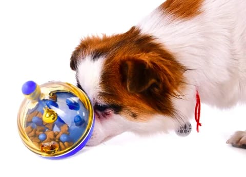 SmartPaws Treat Trix Tumbler Toy For Cats & Dogs
