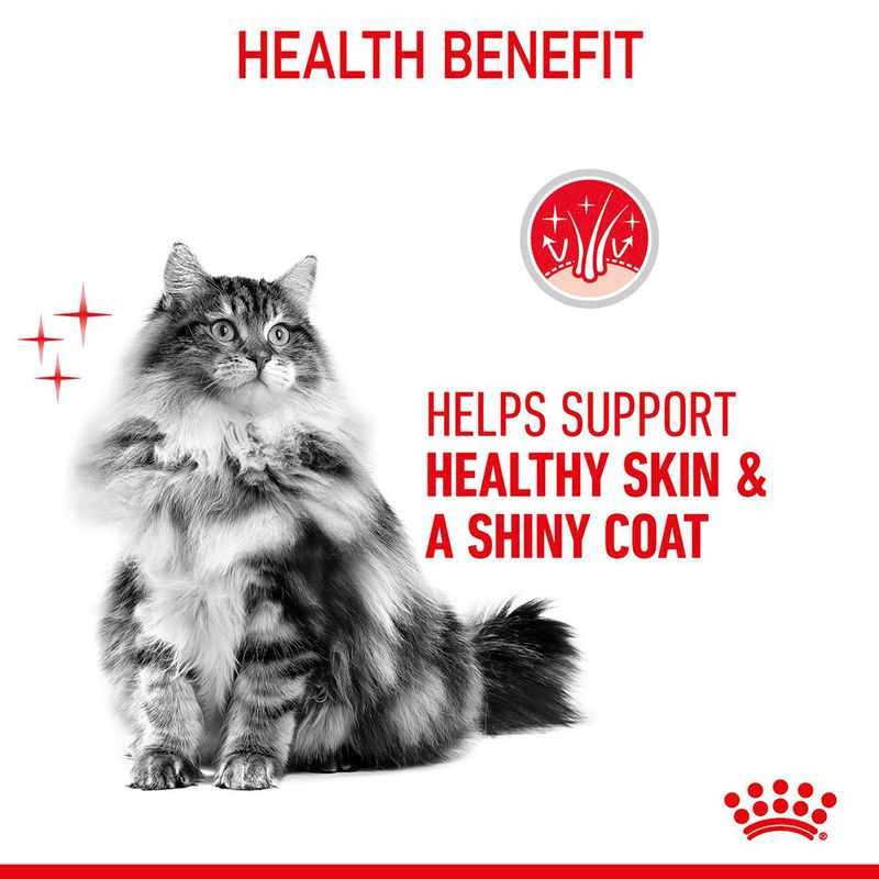 Royal Canin Hair & Skin Care For Cats