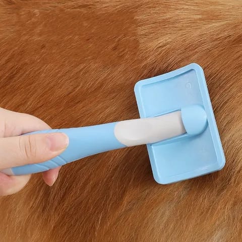 Grooming Brush For Cats & Dogs - Soft Bristles