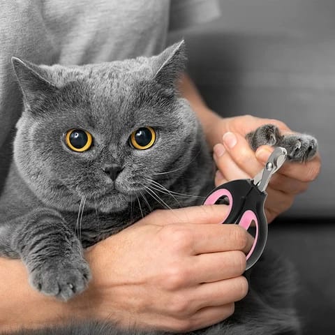 Nail Trimmer for Cats & Puppy