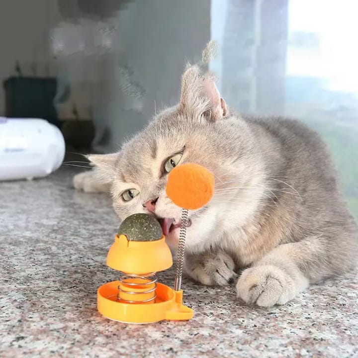 Catnip Ball Toy with  Sticky Base