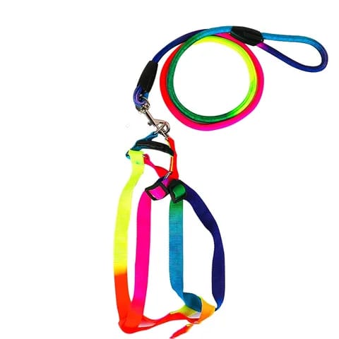 Rainbow Harness For Cats & Puppies