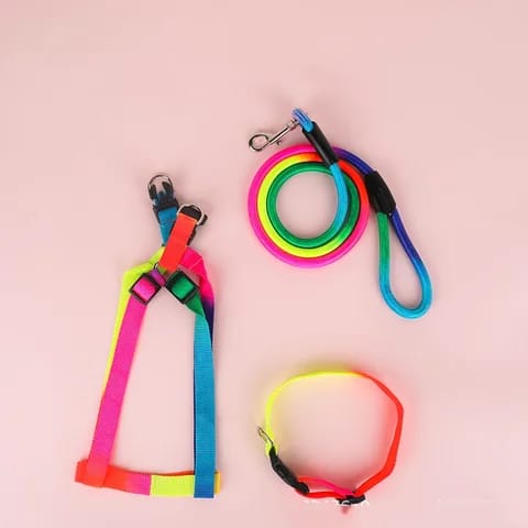 Rainbow Harness For Cats & Puppies