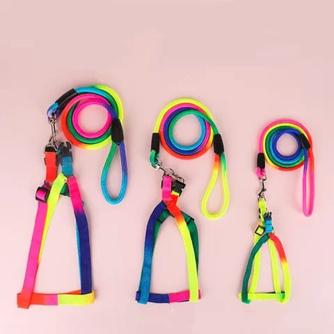 Rainbow Harness For Cats & Puppies