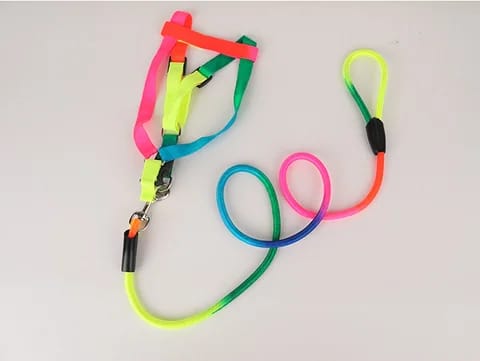 Rainbow Harness For Cats & Puppies