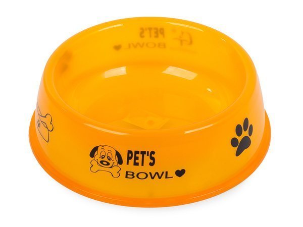 Transparent Food Bowl For Pets