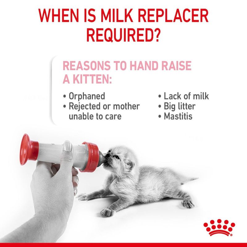 ROYAL CANIN BABYCAT MILK 300g MILK REPLACER FOR KITTENS Healthy Pets Clinic
