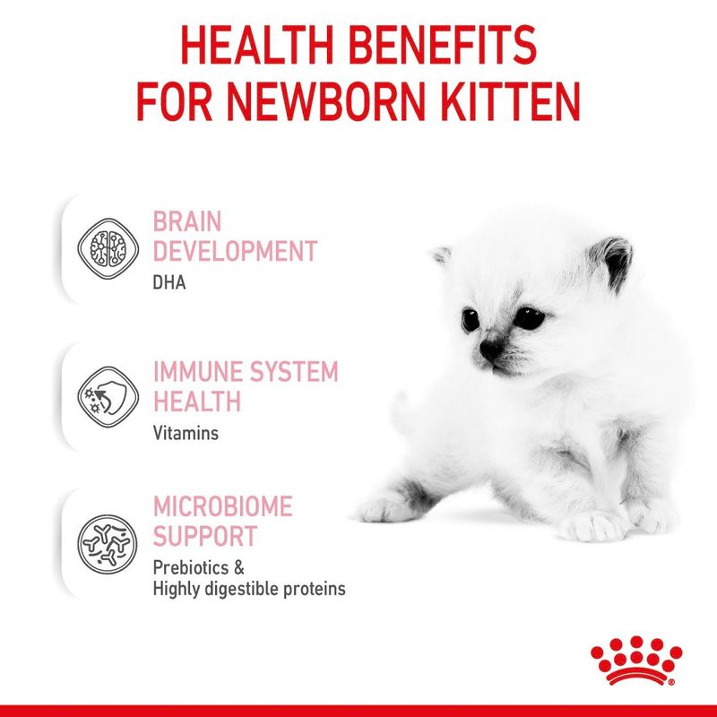 ROYAL CANIN BABYCAT MILK 300g MILK REPLACER FOR KITTENS