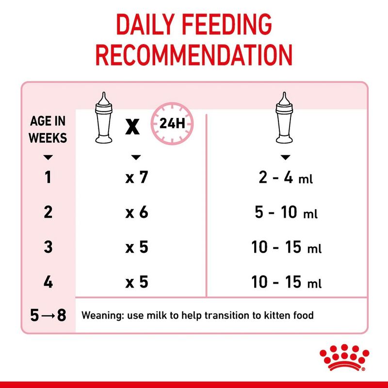 How to feed baby cat milk hotsell