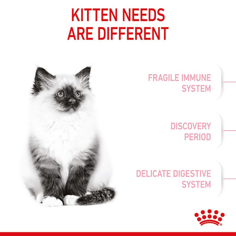 Royal Canin Kitten