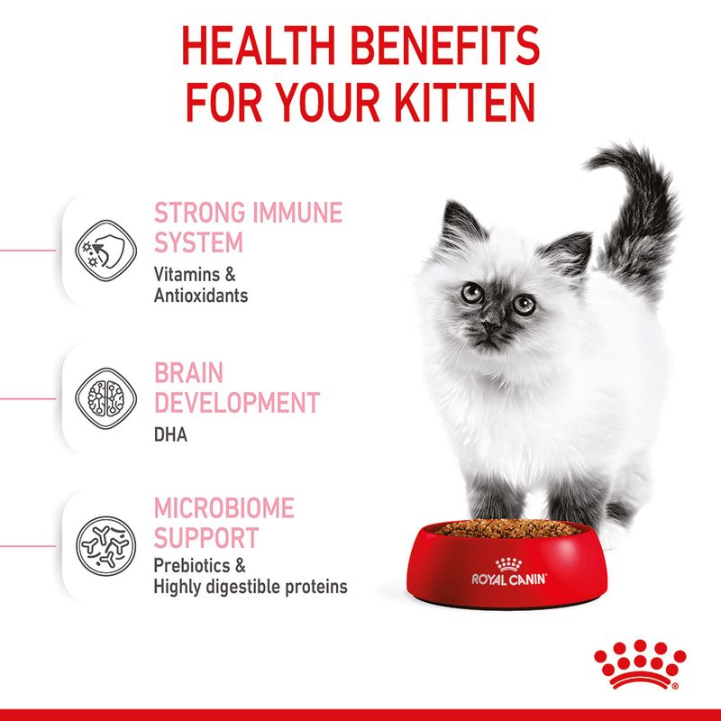 Royal Canin Kitten