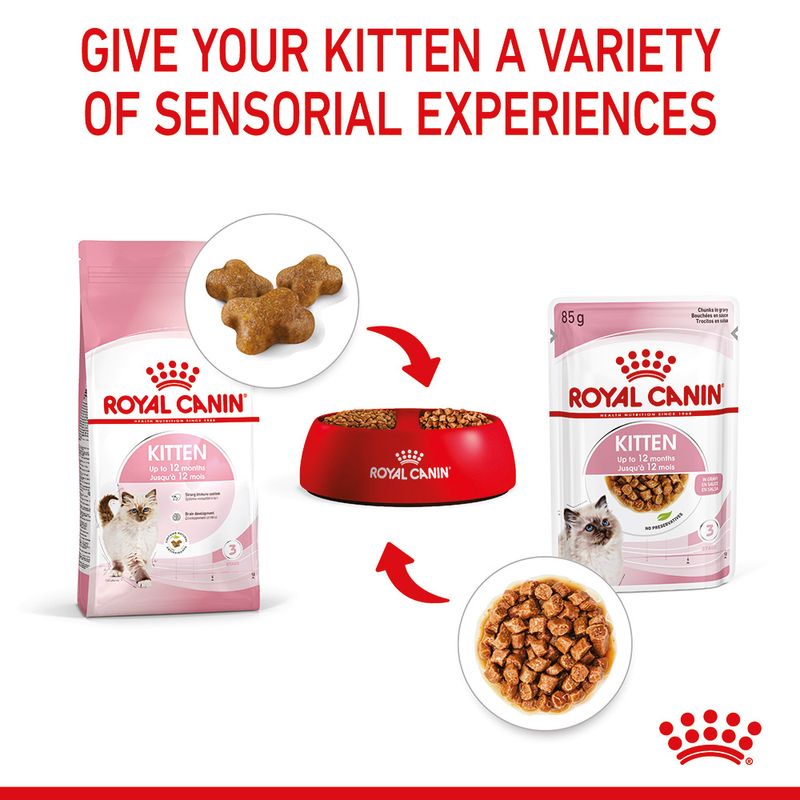 Royal Canin Kitten in Gravy - 85 g